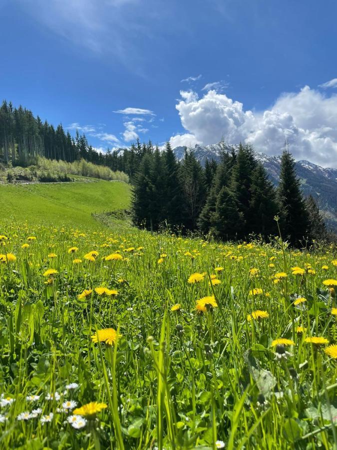 Taurachhof Astlehen Διαμέρισμα Alpendorf  Εξωτερικό φωτογραφία